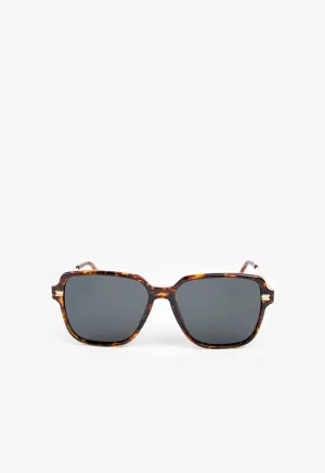 Choice Aviator Square Sunglasses Brown