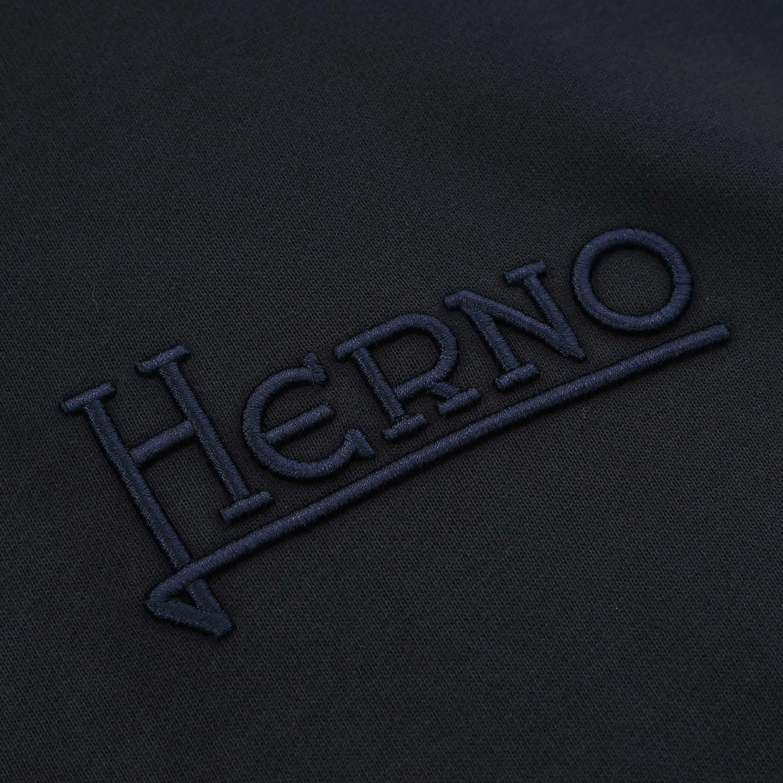 Herno Felpa Logo Con Cappuccio Hoodie Sweat Top in Navy