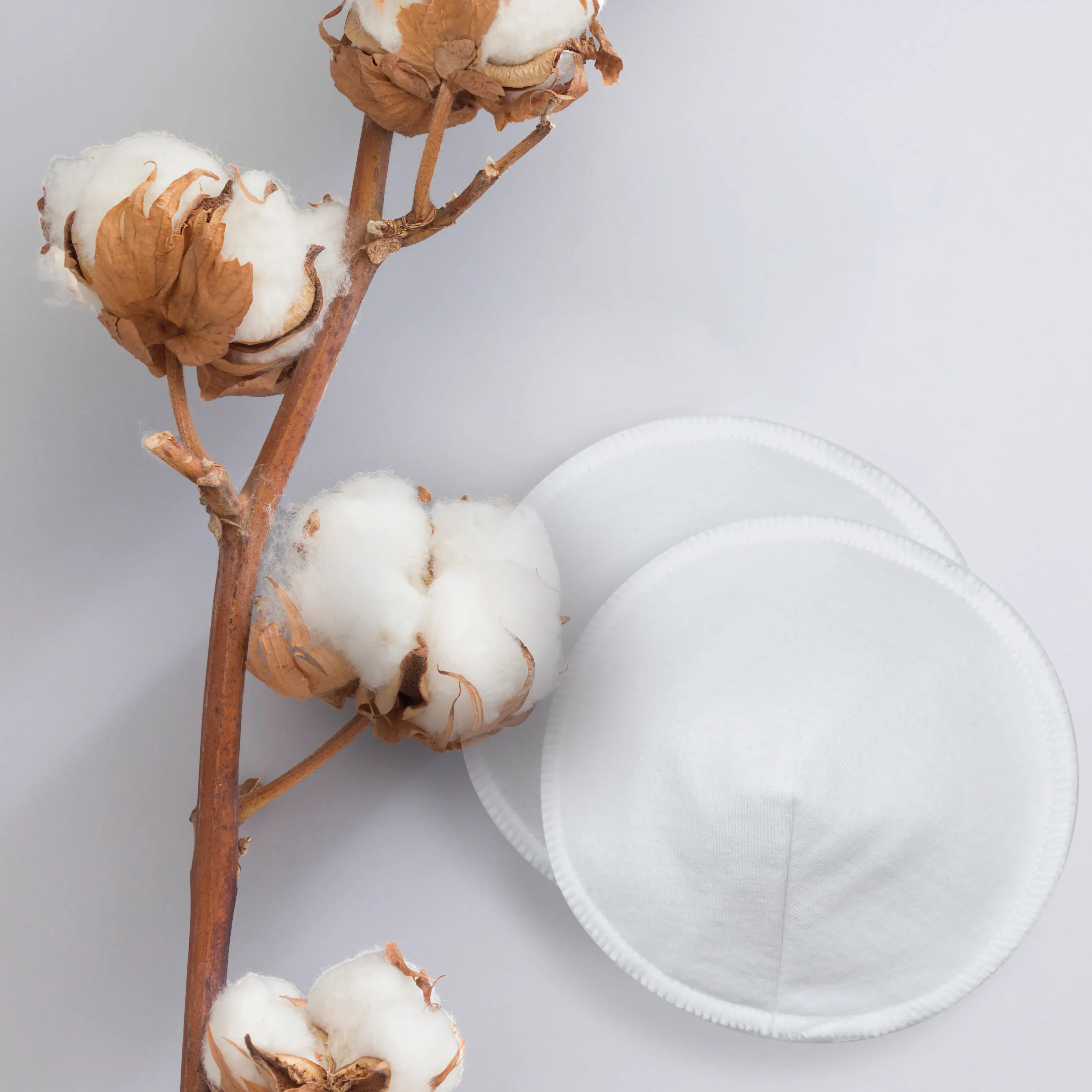 Organic Jersey | Nursing Pads | 6Pack