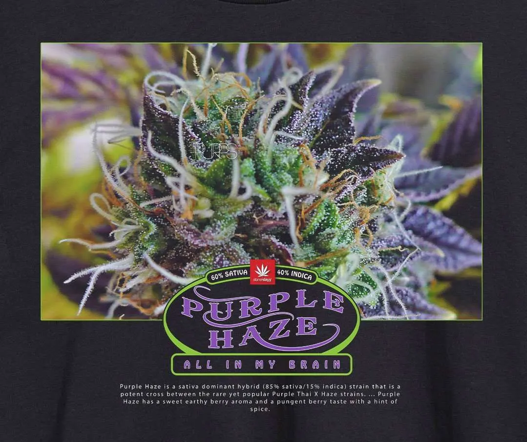 PURPLE HAZE HOODIE
